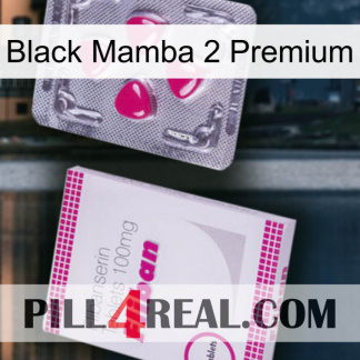 Black Mamba 2 Premium 32